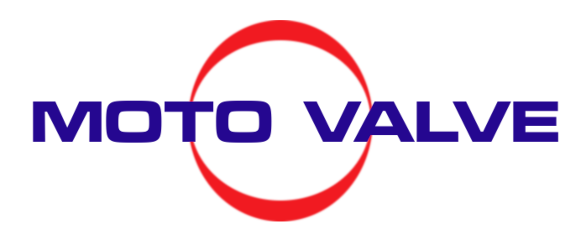 motovalve.ru